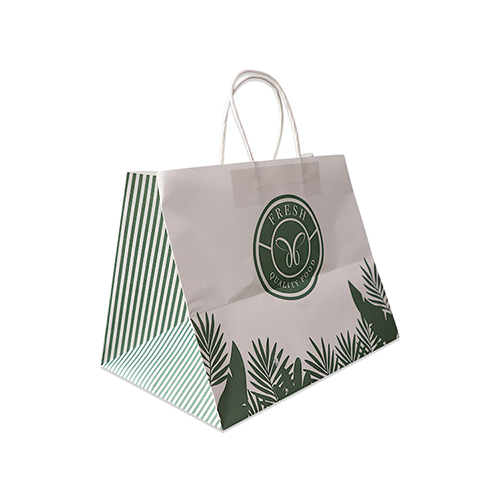 Printed Kraft Paper Bags