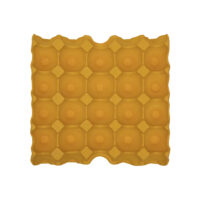 Recyclable Egg Tray Eggs Packaging Box