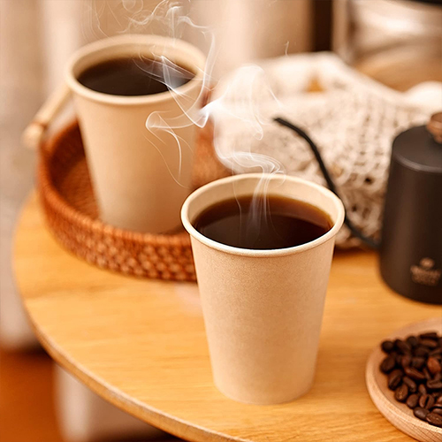 Recyclable Paper Cups for Hot and Cold Drinks