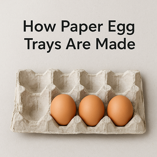 What Are Paper Egg Trays Made Of