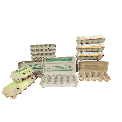 30 Eggs Paper Egg Trays Cartons