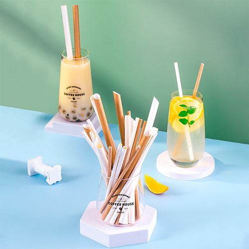 Paper Straws for Bars