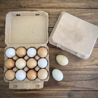 12 Eggs Recyclable Egg Tray 12 Eggs Recyclable Egg Tray