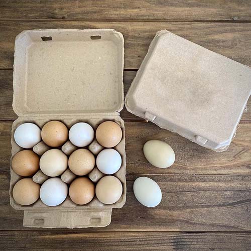 12 Eggs Recyclable Egg Tray