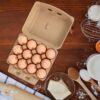 12 Eggs Recyclable Egg Tray