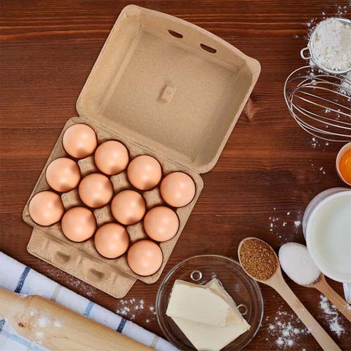 12 Eggs Recyclable Egg Tray