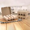12 Eggs Recyclable Egg Tray