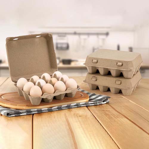 12 Eggs Recyclable Egg Tray