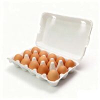 15 Eggs Paper Egg Packaging 15 Eggs Paper Egg Packaging
