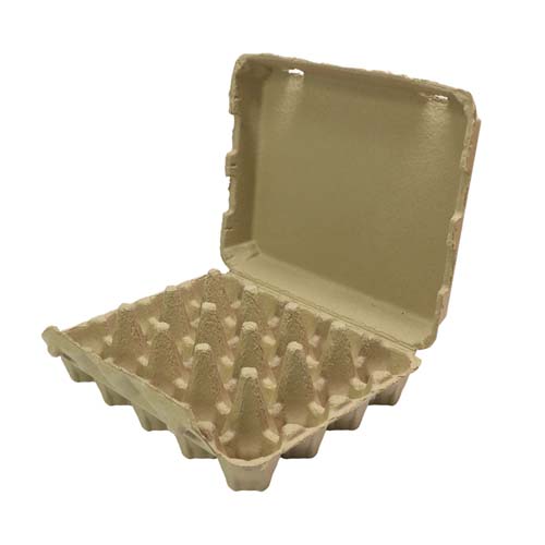 15 Eggs Pulp Egg Packaging