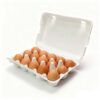 15 Eggs Pulp Egg Packaging