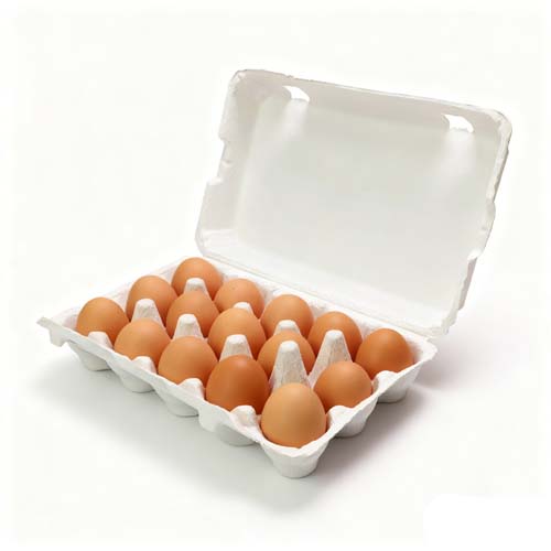 15 Eggs Pulp Egg Packaging