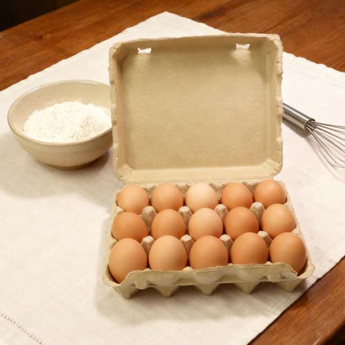 15 Eggs Pulp Egg Packaging