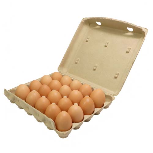 20 Eggs Recyclable Egg Carton
