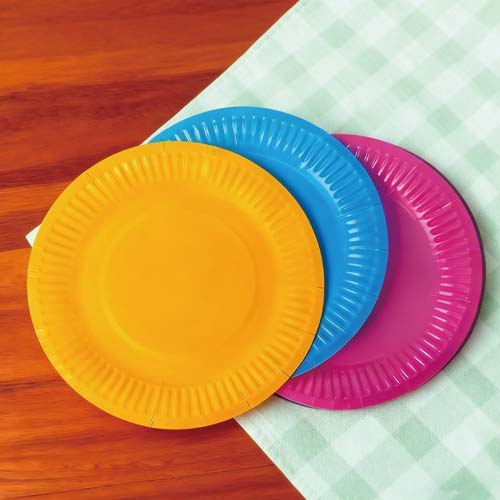 9 Inch Disposable Paper Dinner Plate