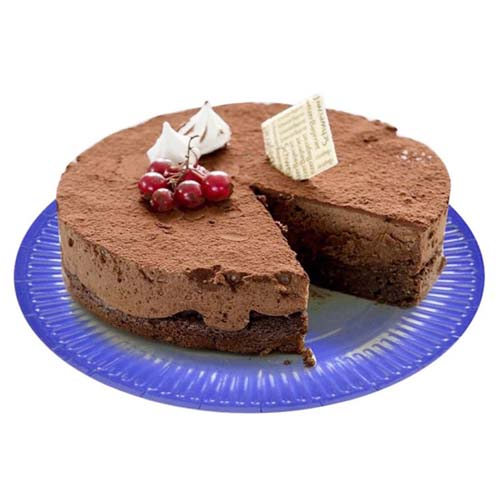 9 Inch Disposable Paper Dinner Plate