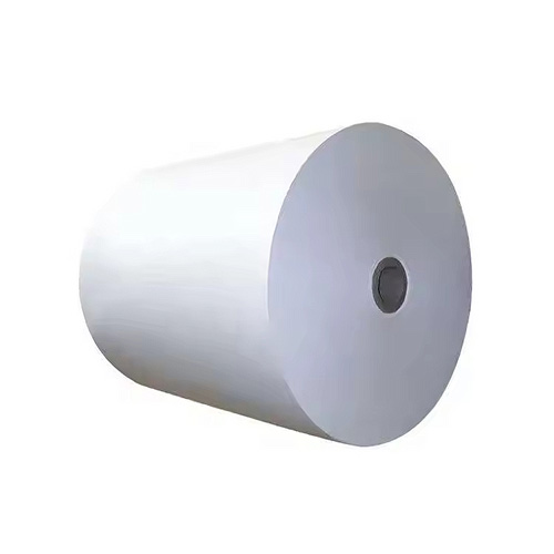 PE Coated Paper Cup Rolls