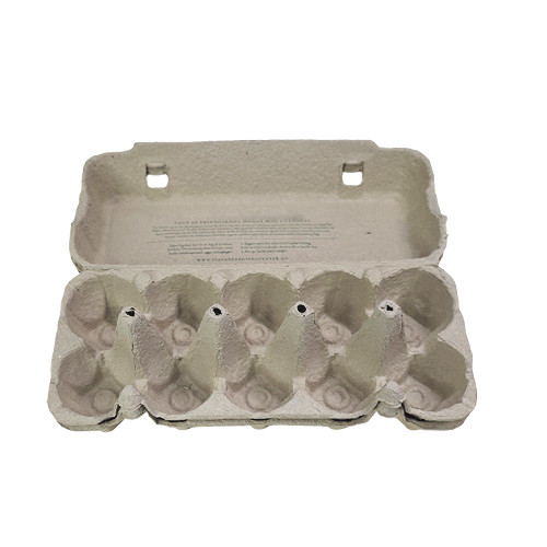 10 Eggs Paper Carton