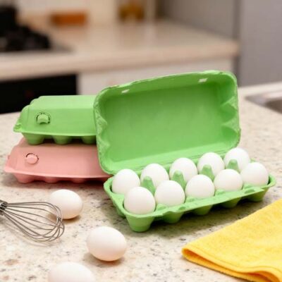 10 Eggs Paper Carton