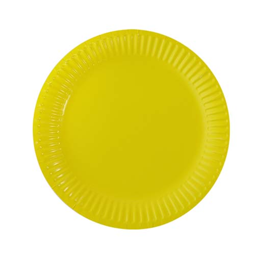 10 Inch Paper Plate