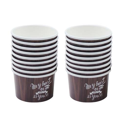 16oz Large Ice Cream Cup