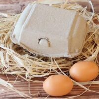 18 Eggs Paper Tray 18 Eggs Paper Tray