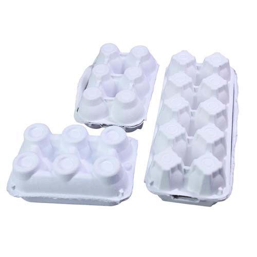 20 Eggs Paper Egg Carton
