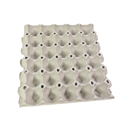 30 Eggs Paper Pulp Tray