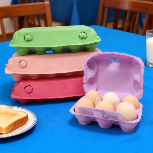 Colored Paper Egg Tray Bulk