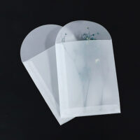 Transparent Sulfuric Acid Paper Envelopes Transparent Sulfuric Acid Paper Envelopes