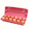 12 Eggs Eco-Friendly Egg Tray
