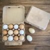 12 Eggs Eco-Friendly Egg Tray