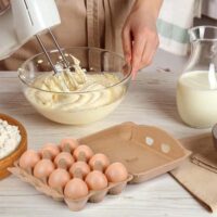 12 Eggs Eco-Friendly Egg Tray 12 Eggs Eco-Friendly Egg Tray