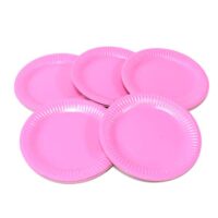 12 Inch Large Round Paper Plate 12 Inch Large Round Paper Plate