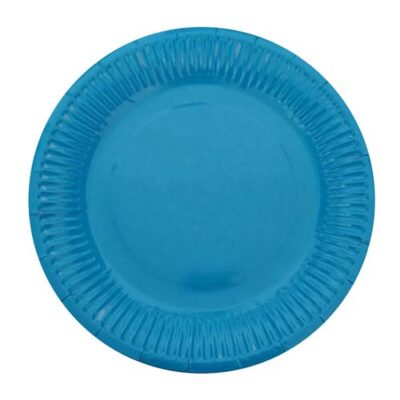 12 Inch Large Round Paper Plate