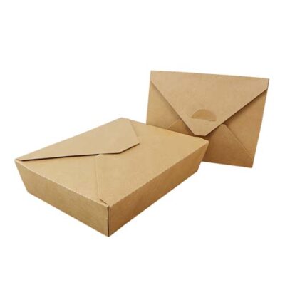 1200ml Kraft Paper Packaging