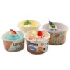 16oz Paper Ice Cream Container