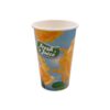 20oz Disposable Cold Drink Cup