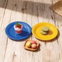 8 inch Paper Plates 8 inch Paper Plates