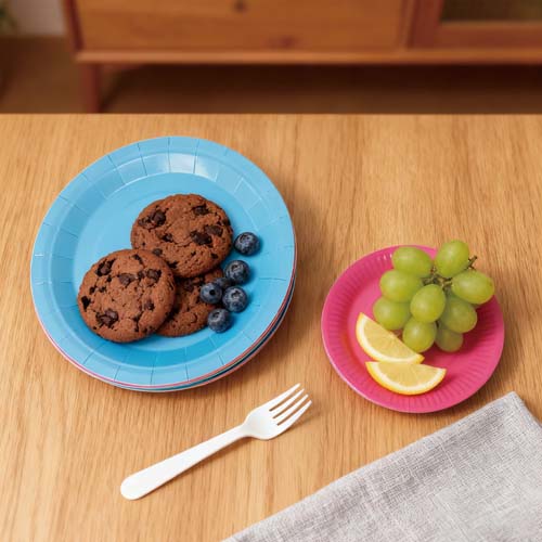 9 inch Paper Plates