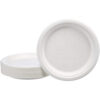 Bagasse Paper Plates Forks Knives Spoons Set