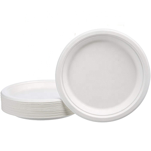 Bagasse Paper Plates Forks Knives Spoons Set