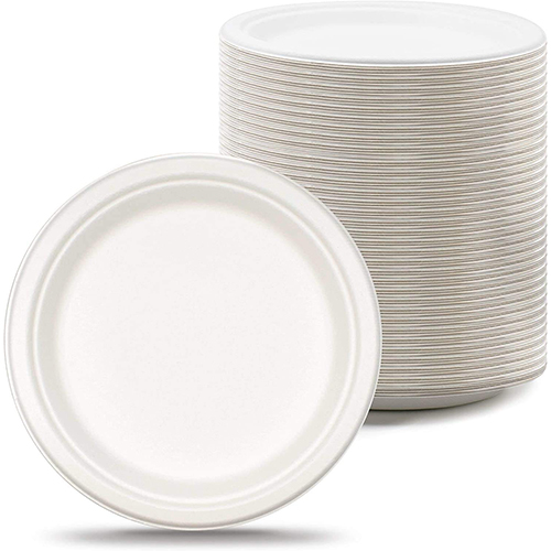 Bagasse Paper Plates Forks Knives Spoons Set