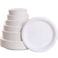 Bagasse Paper Plates Forks Knives Spoons Set Bagasse Paper Plates Forks Knives Spoons Set