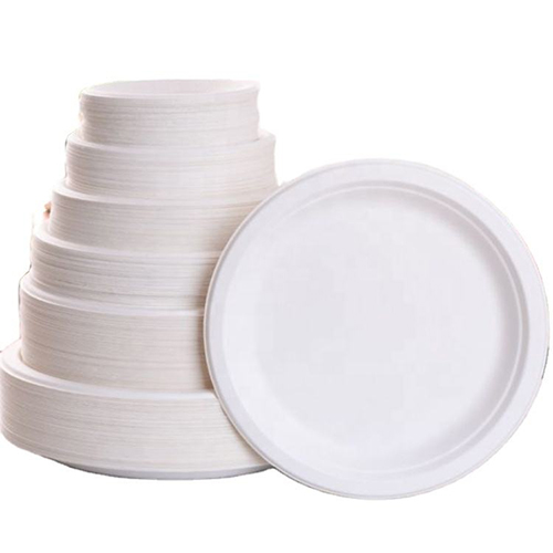 Bagasse Paper Plates Forks Knives Spoons Set
