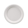 Bagasse Paper Plates Forks Knives Spoons Set