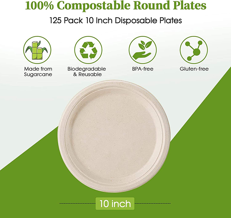 Bagasse Paper Plates Forks Knives Spoons Set
