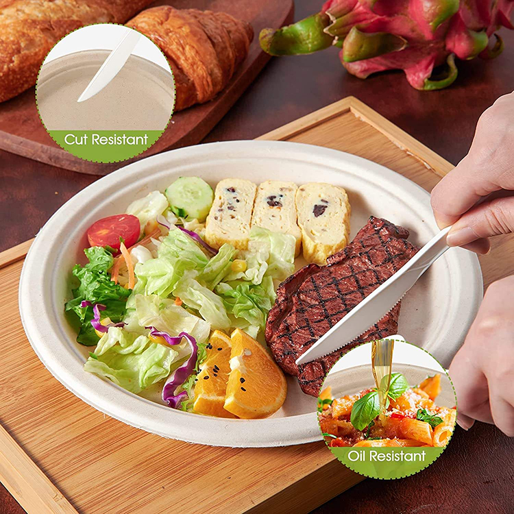 Bagasse Paper Plates Forks Knives Spoons Set