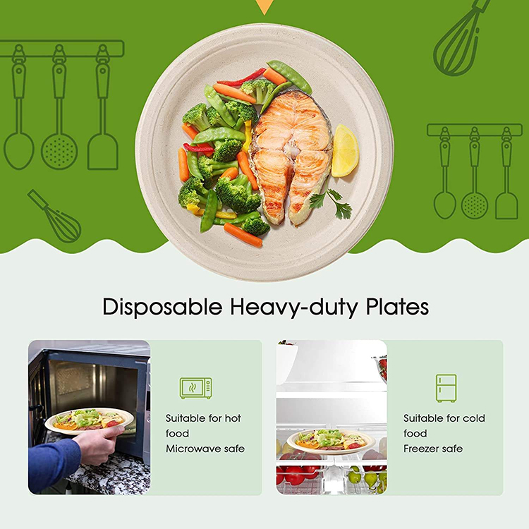 Bagasse Paper Plates Forks Knives Spoons Set