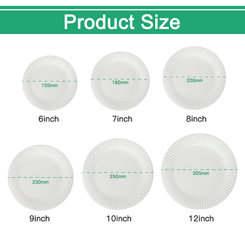Birthday Party Plates 9 Inch 10 Inch Disposable Paper Plates